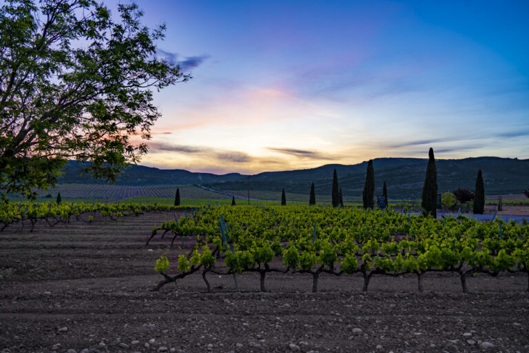 DSC01624-HDR