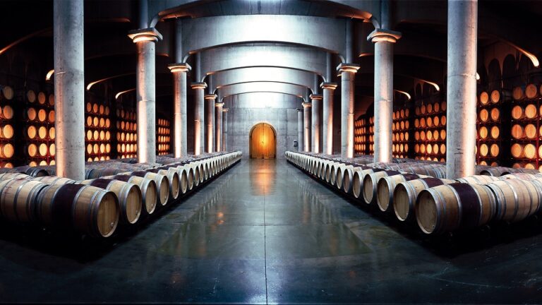 Bodegas-Manzanos-12