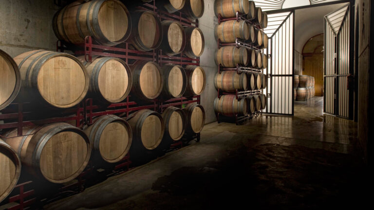 Bodegas-Manzanos-5
